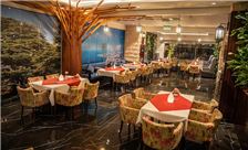 Dining Space